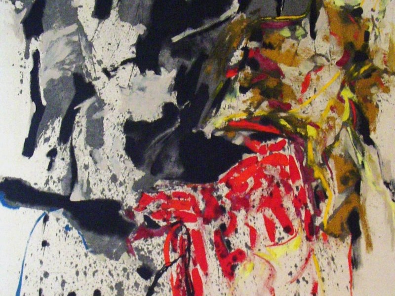 Anita Shapolsky - Abstract Legacy
